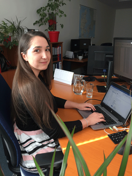 Sarka Ferencova, Accountant
