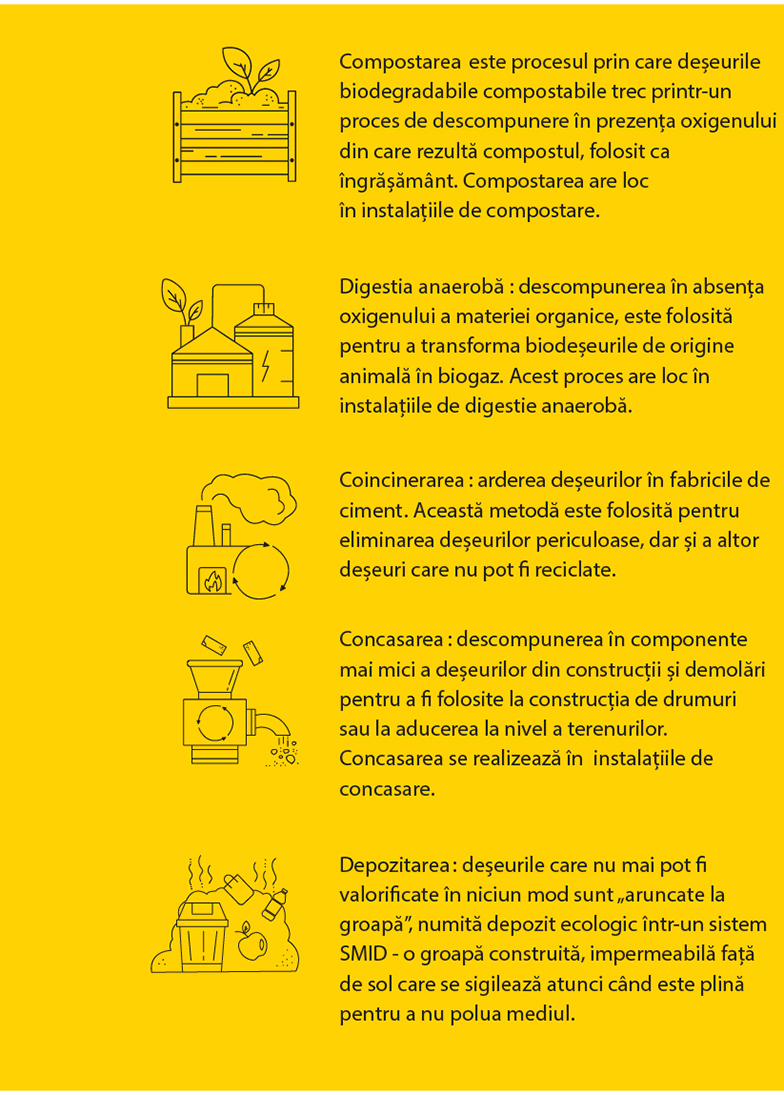 Raport reciclarea și managementul deșeurilor