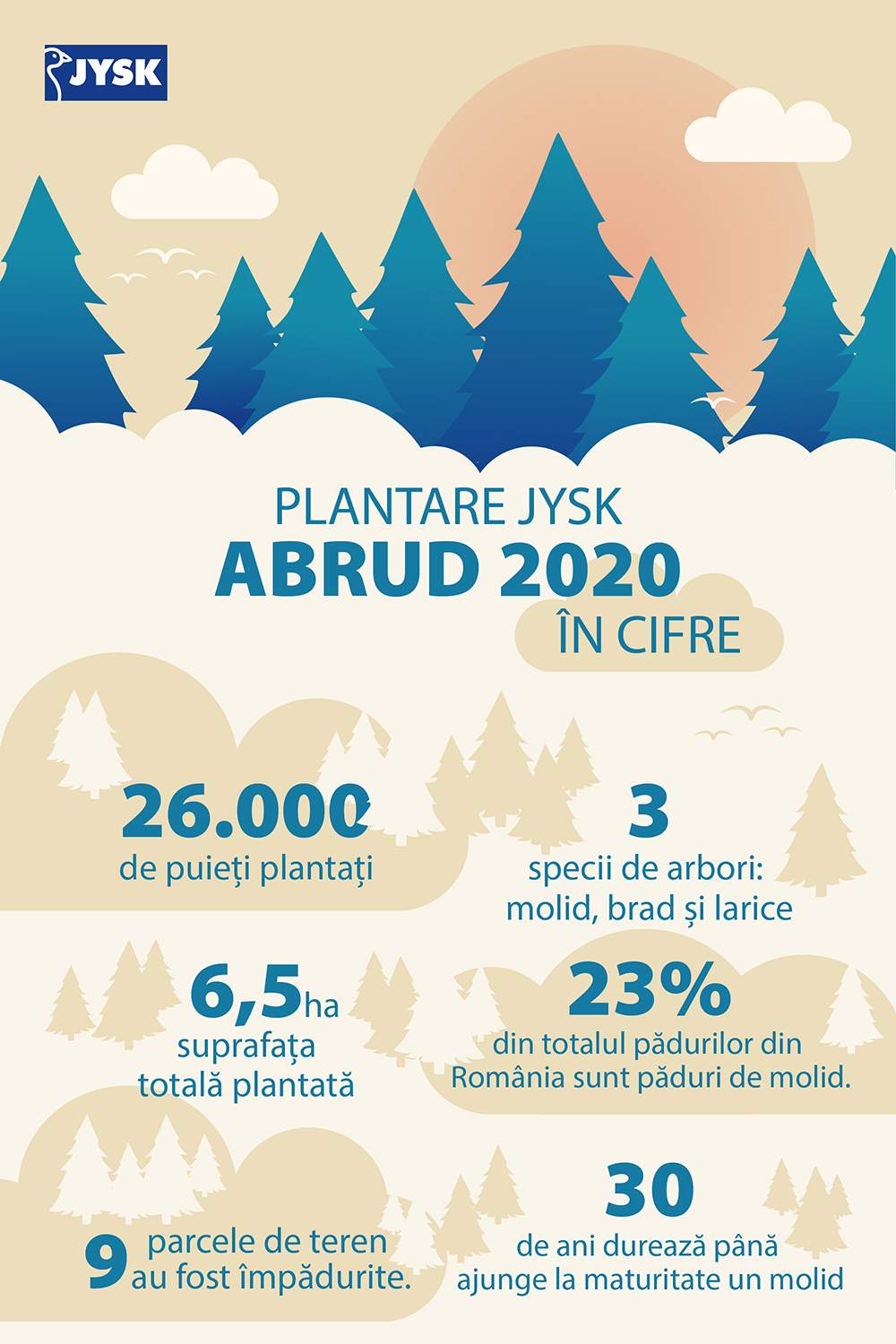 Plantare Abrud