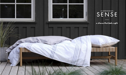 Scandinavian Sense