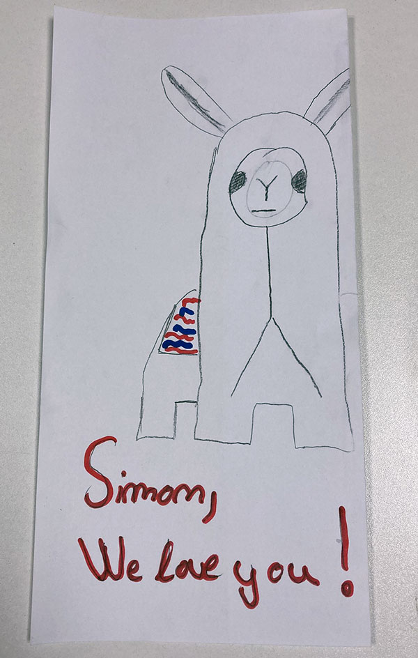 Desen lama Simon