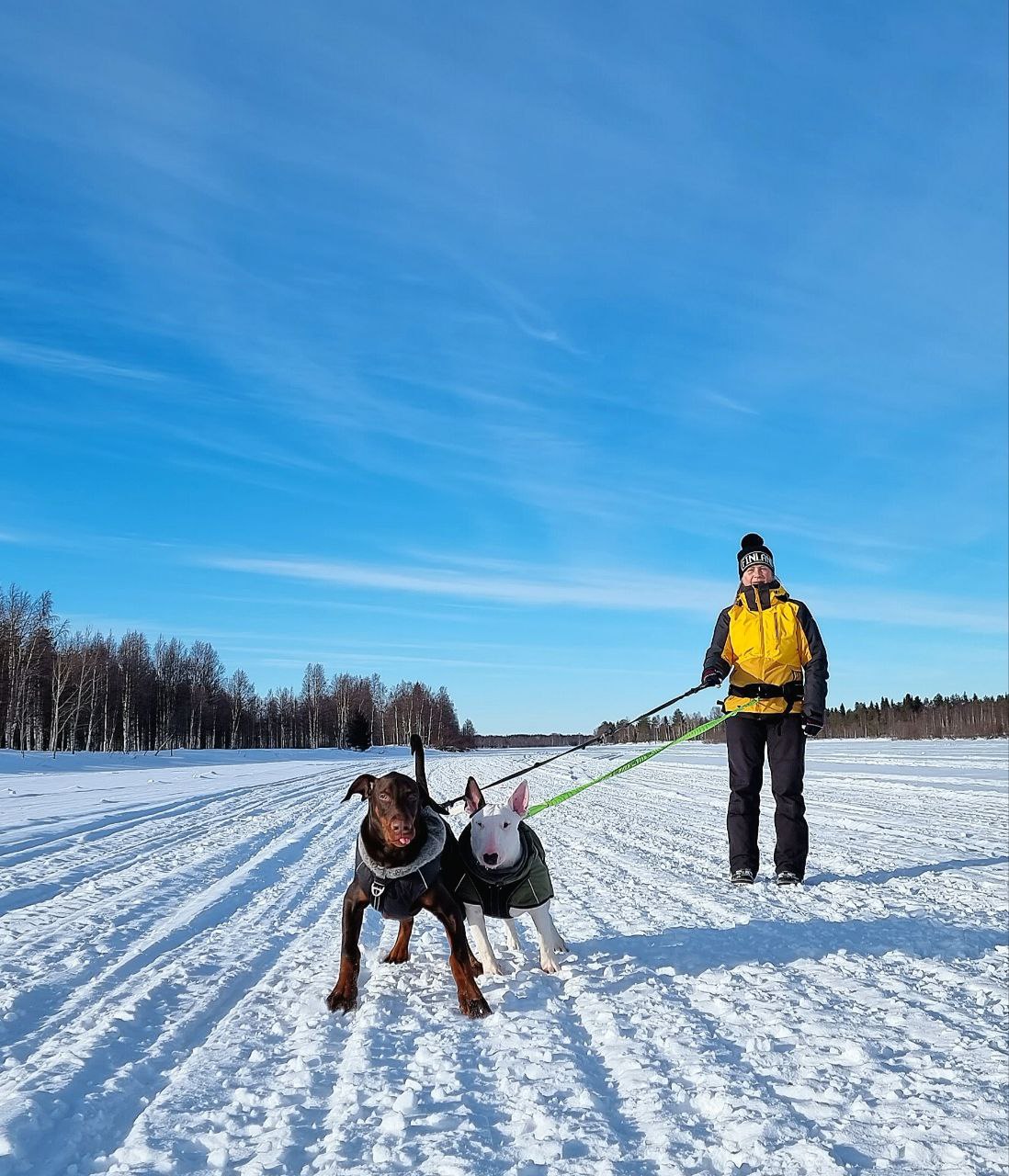 Tanja viettää paljon aikaa luonnossa koiriensa kanssa.