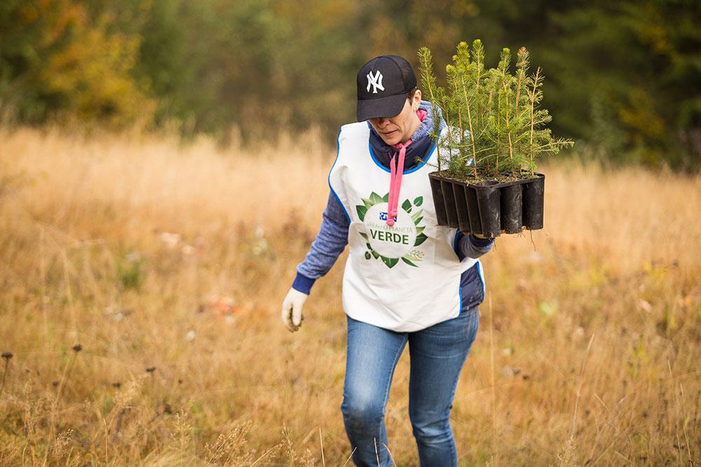 Voluntarii JYSK au impadurit la Rosia Montana