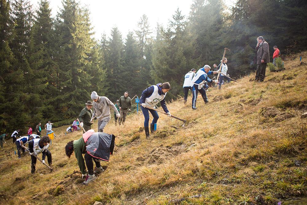 Voluntarii JYSK au impadurit la Rosia Montana