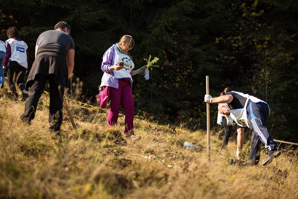 Voluntarii JYSK au impadurit la Rosia Montana