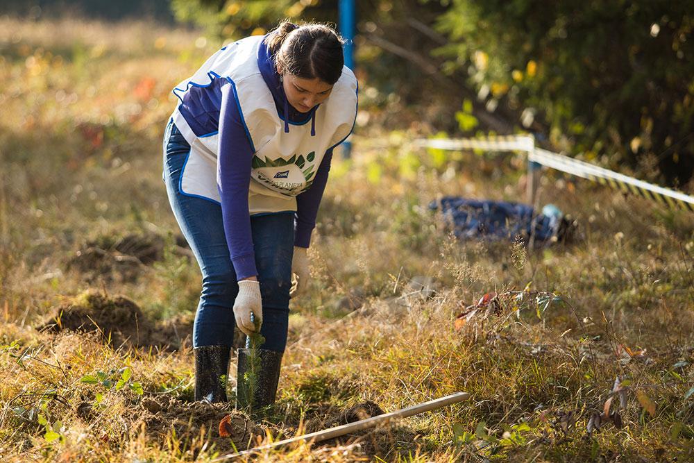 Voluntarii JYSK au impadurit la Rosia Montana