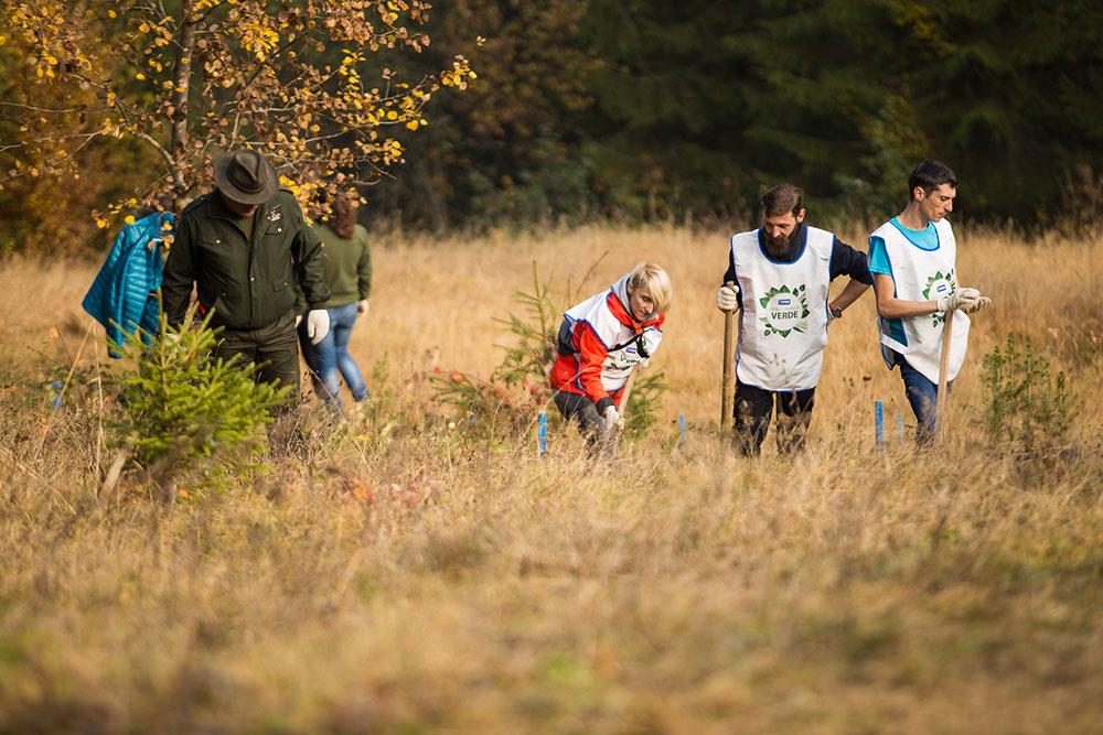 Voluntarii JYSK au impadurit la Rosia Montana