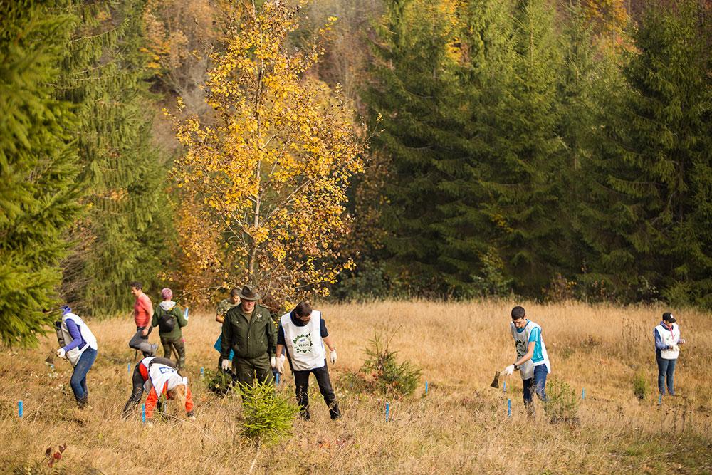 Voluntarii JYSK au impadurit la Rosia Montana