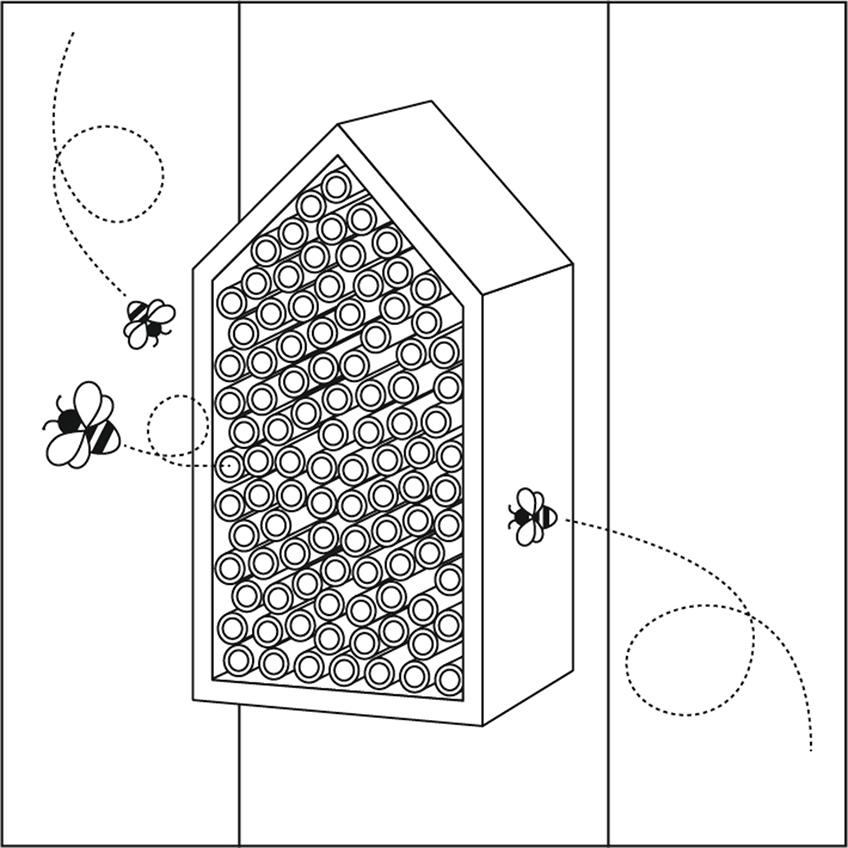 E.g. the bees need free access to the insect hotel.