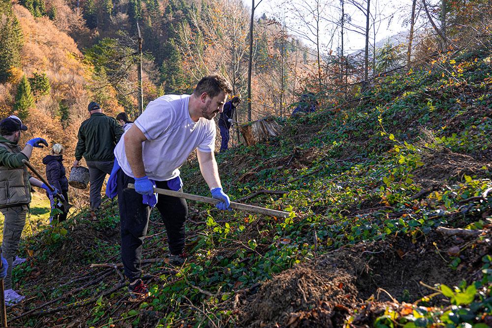 Peste 20 de colegi au plantat Pădurea JYSK la Bucium