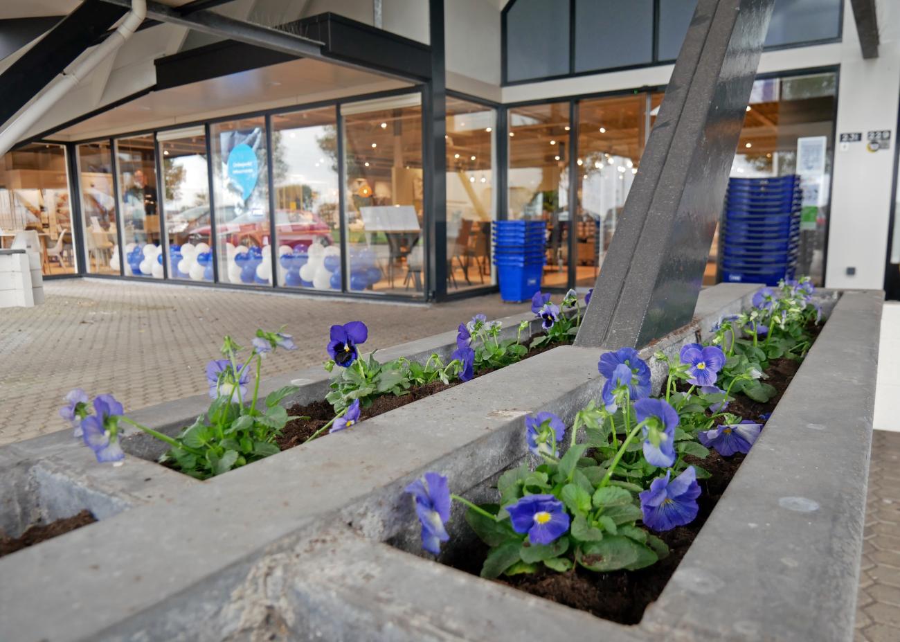 De bloemetjes buiten