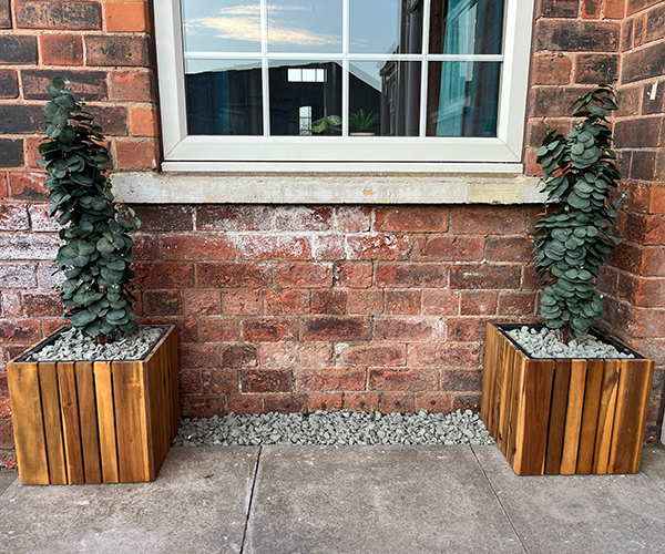 Kaitlins outdoor decoration