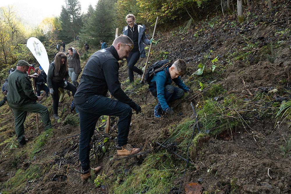 Plantare Padurea JYSK 2023