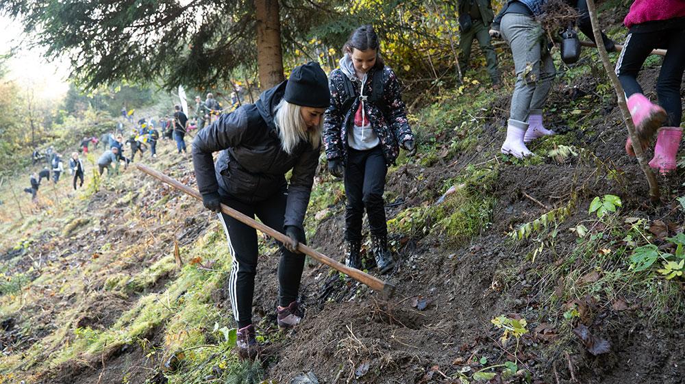 Plantare Padurea JYSK 2023