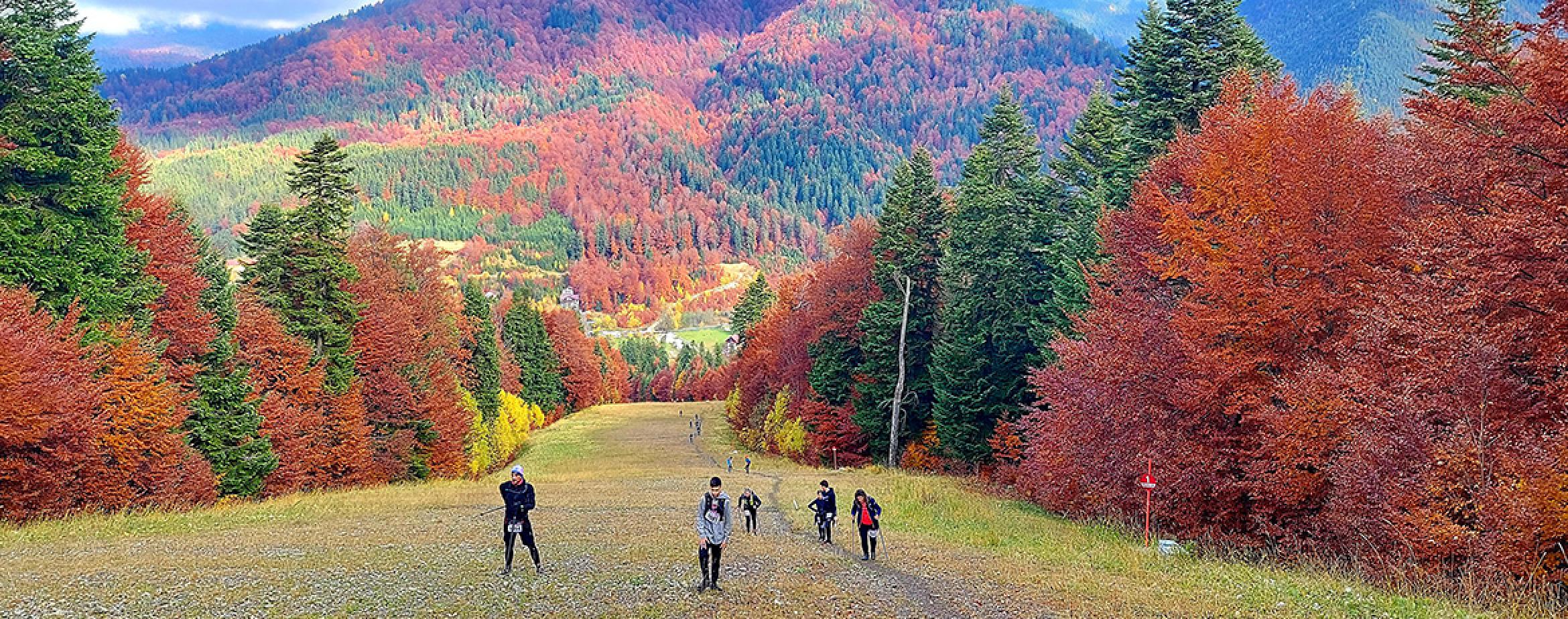 17 colegi au alergat la Azuga Trail Race powered by JYSK