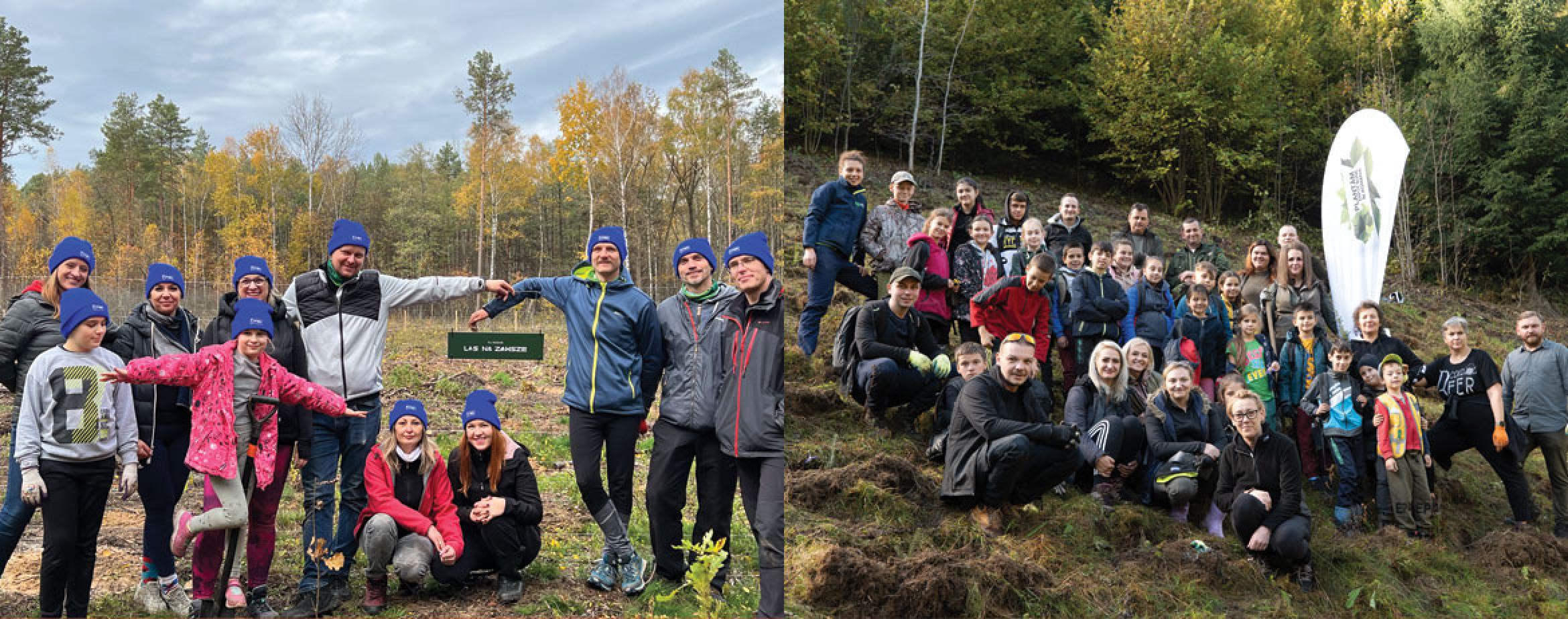 New forests planted by JYSK in Romania and Poland