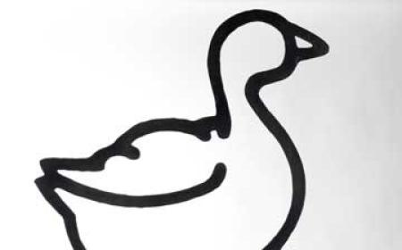 Weather goose
