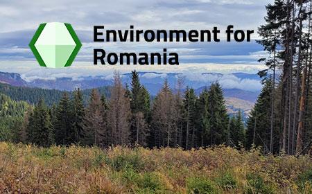 Rezultatele cercetării Reciclarea și managementul deșeurilor