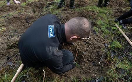 JYSK a plantat 20.000 de copaci alături de Plantăm fapte bune în România